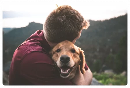 Onde e como encontrar um cão-guia?